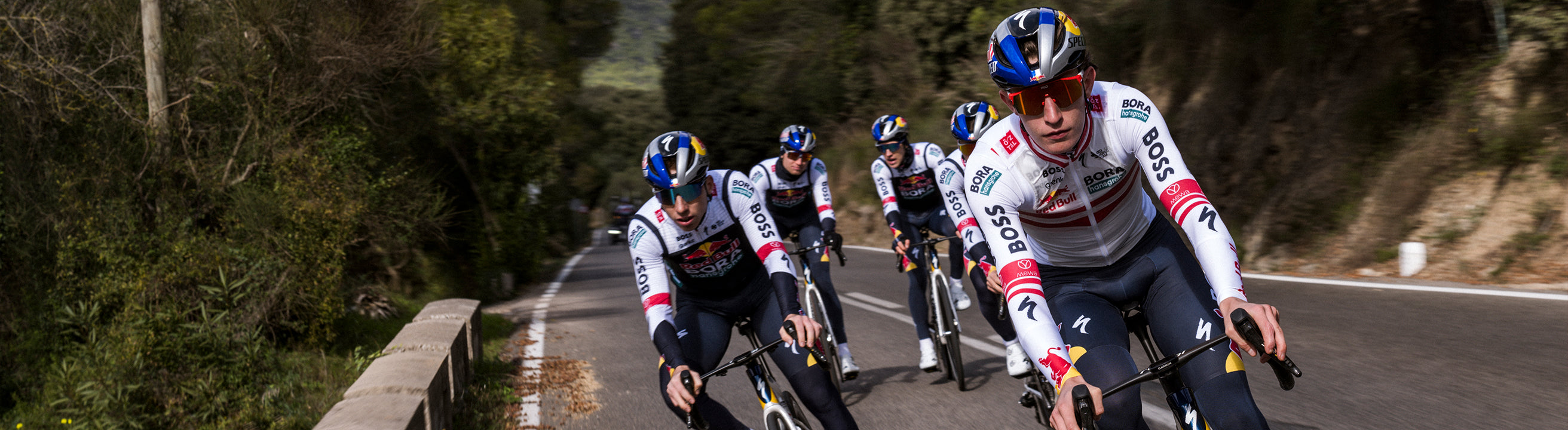 Red Bull - BORA - hansgrohe | Red Bull Shop US