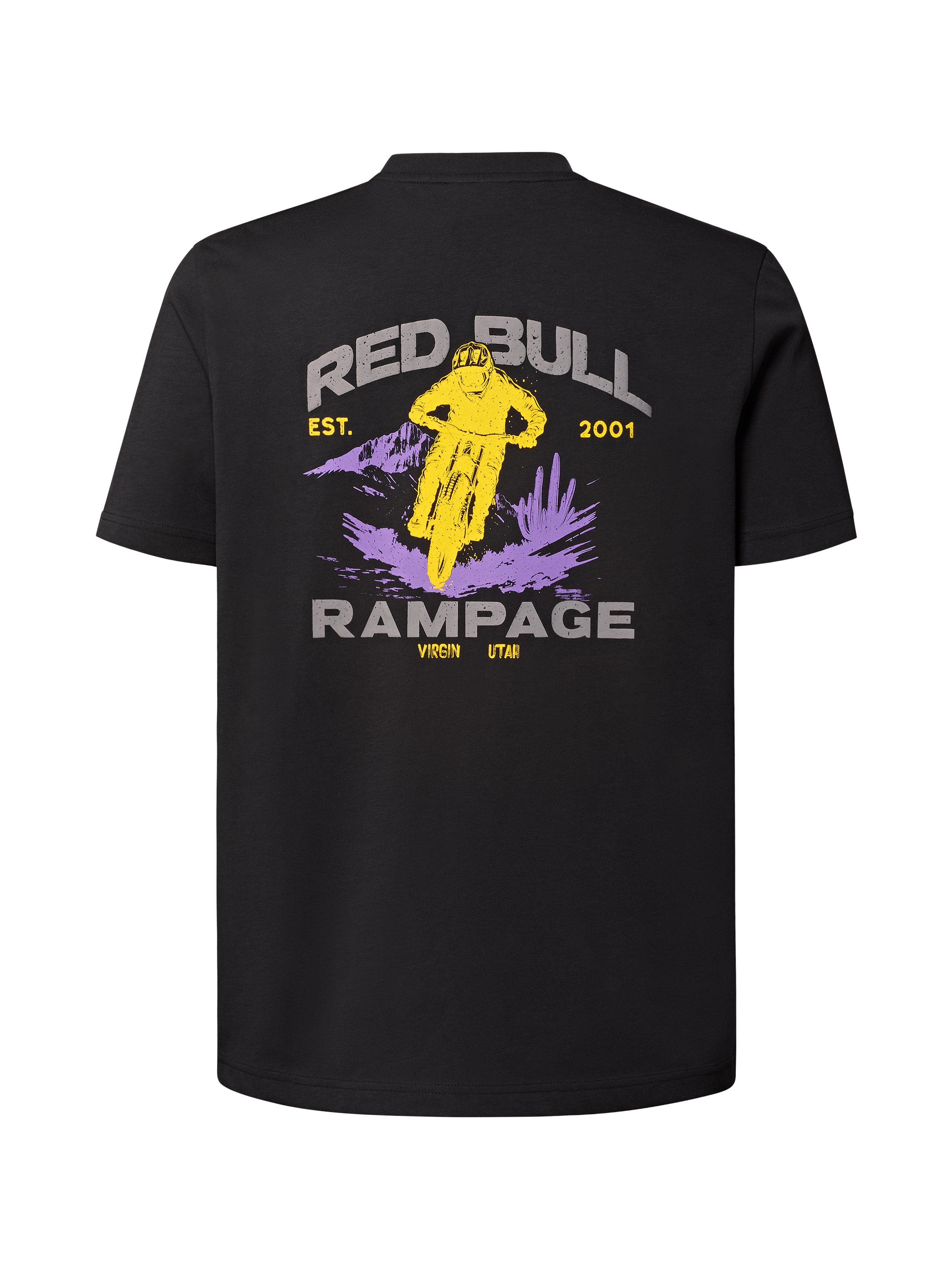 THE RAMPAGE p(R)ojdect R TシャツXL Short Sleeve Tee TLD Redbull Rampage Static Black – Troy Lee