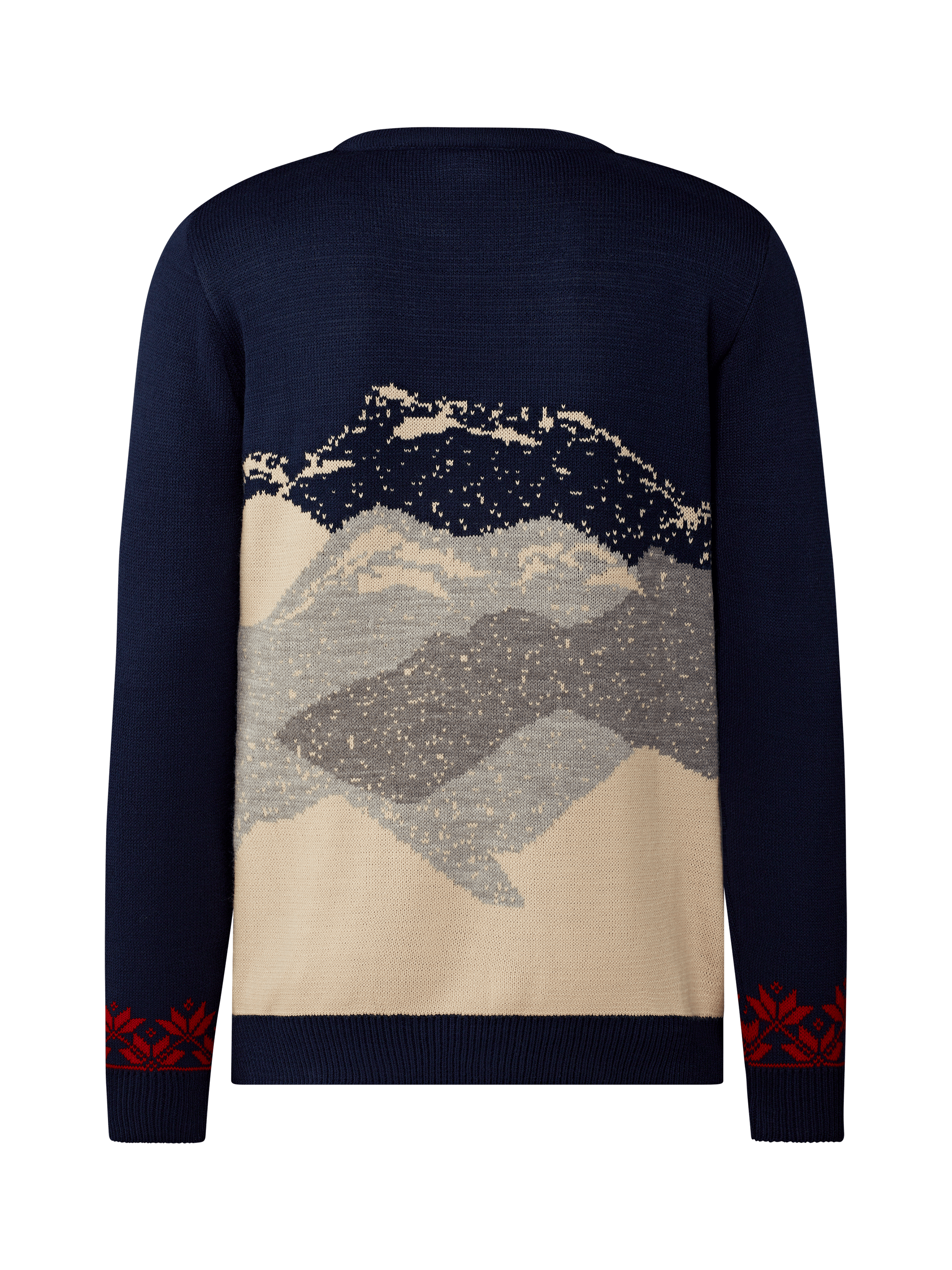 FC Red Bull Salzburg Winter Sweater | Red Bull Shop US