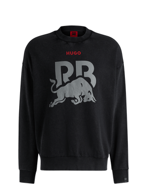 Visa Cash App Racing Bulls Washed Pullover | Red Bull Shop US