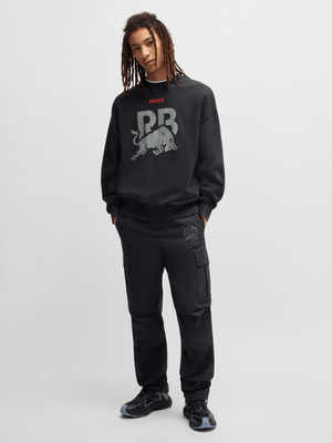 Visa Cash App Racing Bulls Washed Pullover | Red Bull Shop US